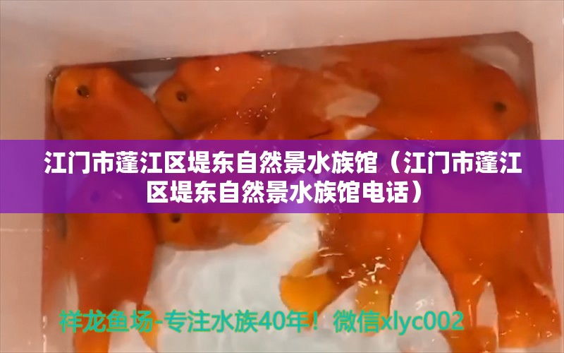 江门市蓬江区堤东自然景水族馆（江门市蓬江区堤东自然景水族馆电话）