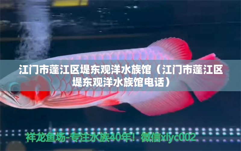 江门市蓬江区堤东观洋水族馆（江门市蓬江区堤东观洋水族馆电话） 全国水族馆企业名录