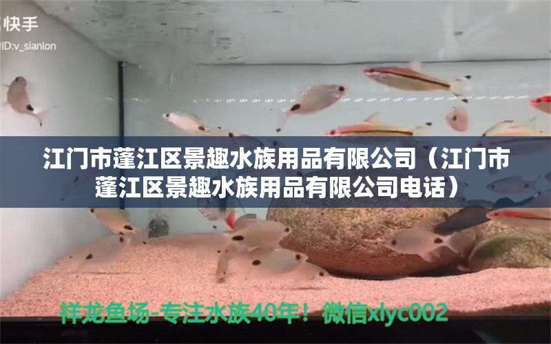 江门市蓬江区景趣水族用品有限公司（江门市蓬江区景趣水族用品有限公司电话）