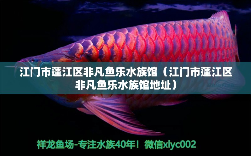 江门市蓬江区非凡鱼乐水族馆（江门市蓬江区非凡鱼乐水族馆地址）