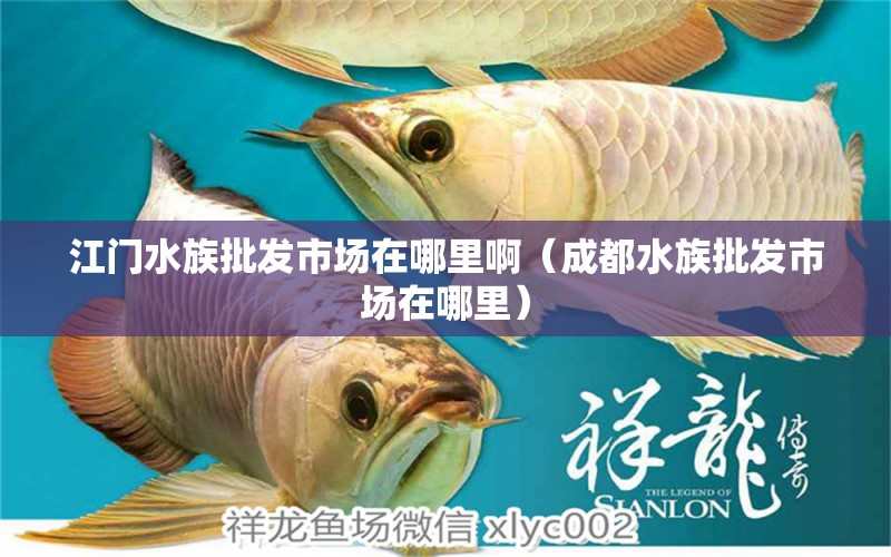 江门水族批发市场在哪里啊（成都水族批发市场在哪里） 观赏鱼水族批发市场