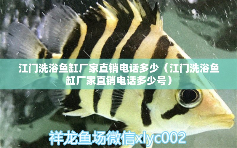 江门洗浴鱼缸厂家直销电话多少（江门洗浴鱼缸厂家直销电话多少号）