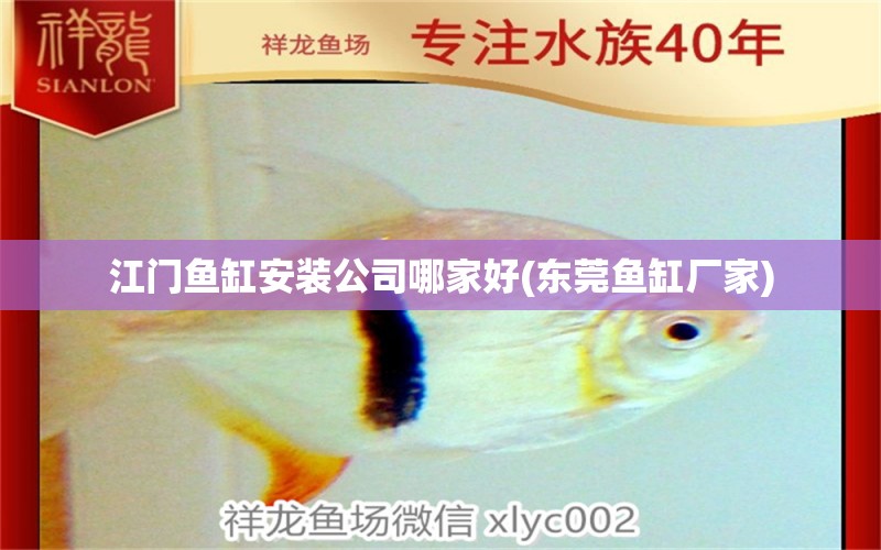 江门鱼缸安装公司哪家好(东莞鱼缸厂家) 申古银版鱼