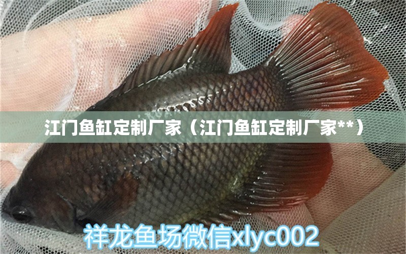 江门鱼缸定制厂家（江门鱼缸定制厂家**） 祥龙水族医院