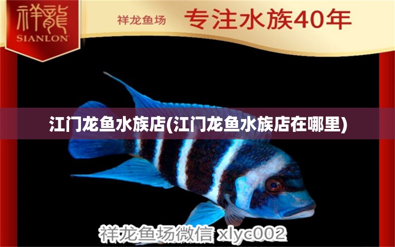 江门龙鱼水族店(江门龙鱼水族店在哪里)