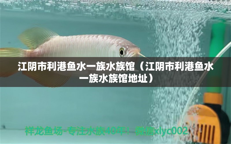 江阴市利港鱼水一族水族馆（江阴市利港鱼水一族水族馆地址） 全国水族馆企业名录