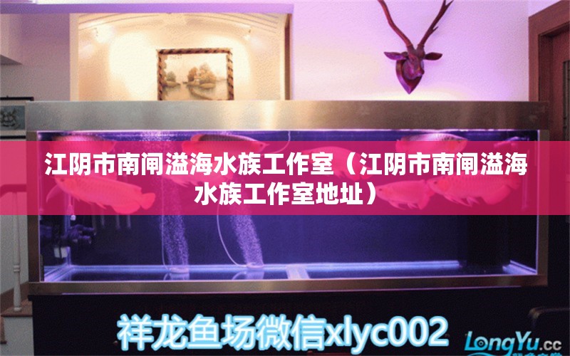 江阴市南闸溢海水族工作室（江阴市南闸溢海水族工作室地址） 全国水族馆企业名录