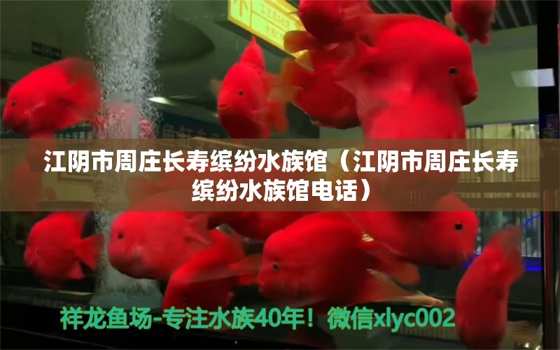 江阴市周庄长寿缤纷水族馆（江阴市周庄长寿缤纷水族馆电话）