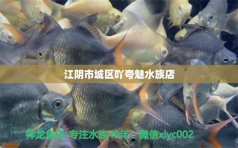 江阴市城区吖夸魅水族店 全国水族馆企业名录