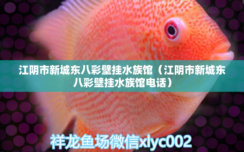 江阴市新城东八彩壁挂水族馆（江阴市新城东八彩壁挂水族馆电话） 全国水族馆企业名录