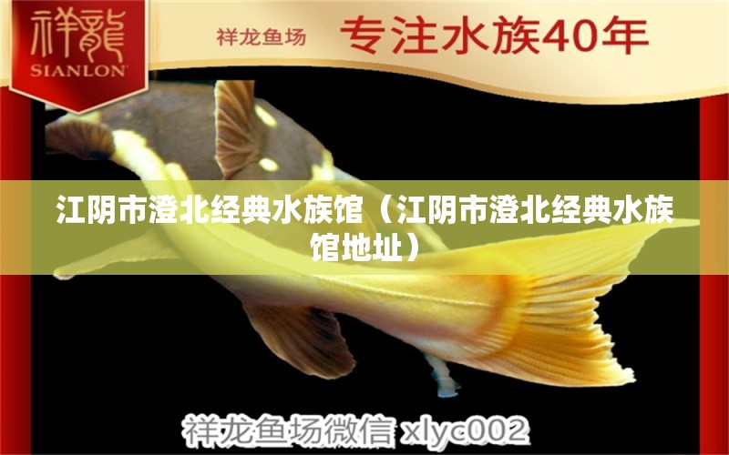 江阴市澄北经典水族馆（江阴市澄北经典水族馆地址） 全国水族馆企业名录