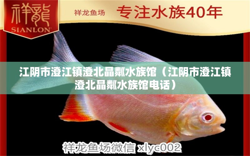 江阴市澄江镇澄北晶粼水族馆（江阴市澄江镇澄北晶粼水族馆电话）