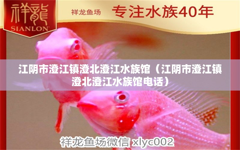 江阴市澄江镇澄北澄江水族馆（江阴市澄江镇澄北澄江水族馆电话）