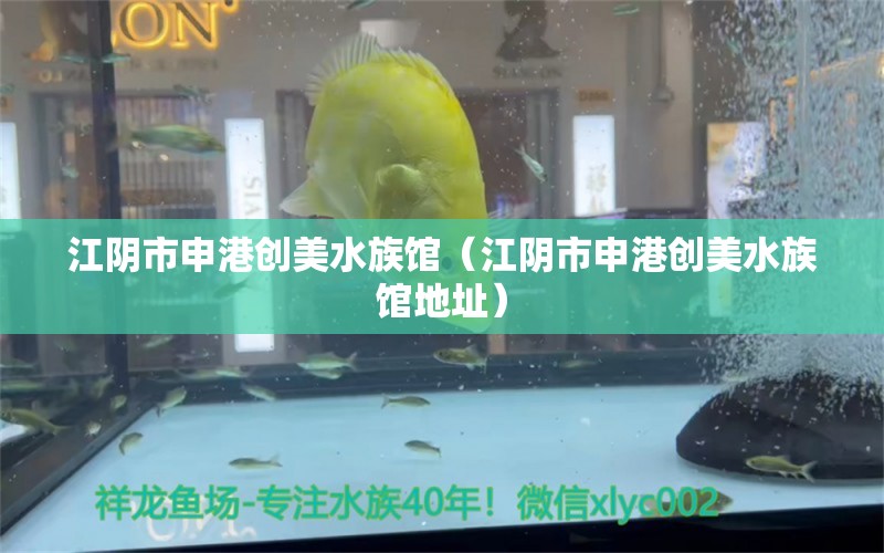 江阴市申港创美水族馆（江阴市申港创美水族馆地址） 全国水族馆企业名录