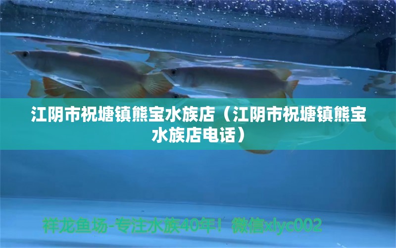 江阴市祝塘镇熊宝水族店（江阴市祝塘镇熊宝水族店电话） 全国水族馆企业名录