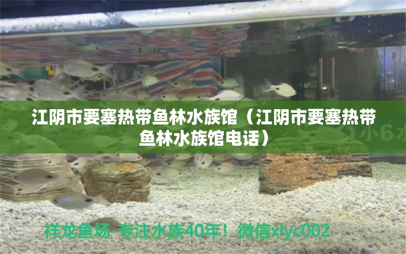 江阴市要塞热带鱼林水族馆（江阴市要塞热带鱼林水族馆电话）