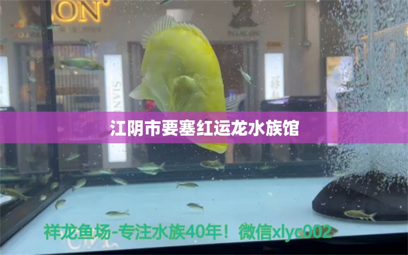 江阴市要塞红运龙水族馆