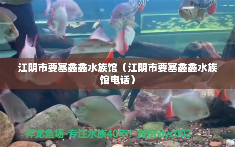 江阴市要塞鑫鑫水族馆（江阴市要塞鑫鑫水族馆电话） 全国水族馆企业名录