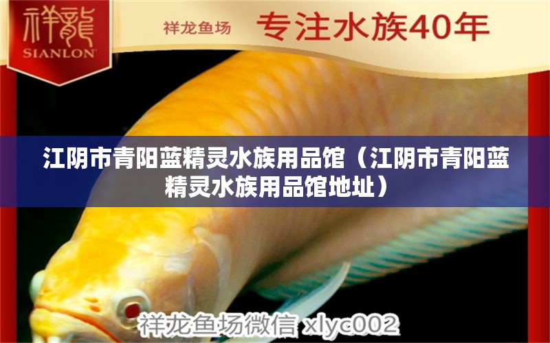 江阴市青阳蓝精灵水族用品馆（江阴市青阳蓝精灵水族用品馆地址）