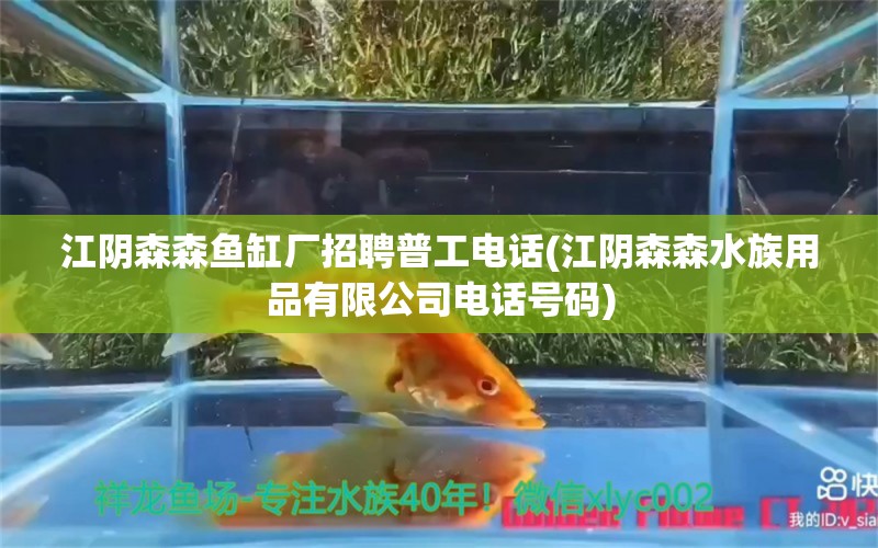 江阴森森鱼缸厂招聘普工电话(江阴森森水族用品有限公司电话号码)