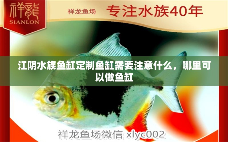 江阴水族鱼缸定制鱼缸需要注意什么，哪里可以做鱼缸