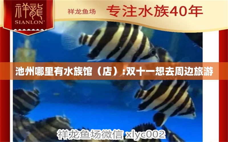 池州哪里有水族馆（店）:双十一想去周边旅游 观赏鱼水族批发市场