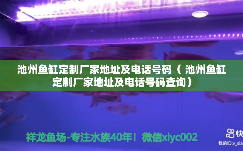 池州鱼缸定制厂家地址及电话号码（ 池州鱼缸定制厂家地址及电话号码查询）