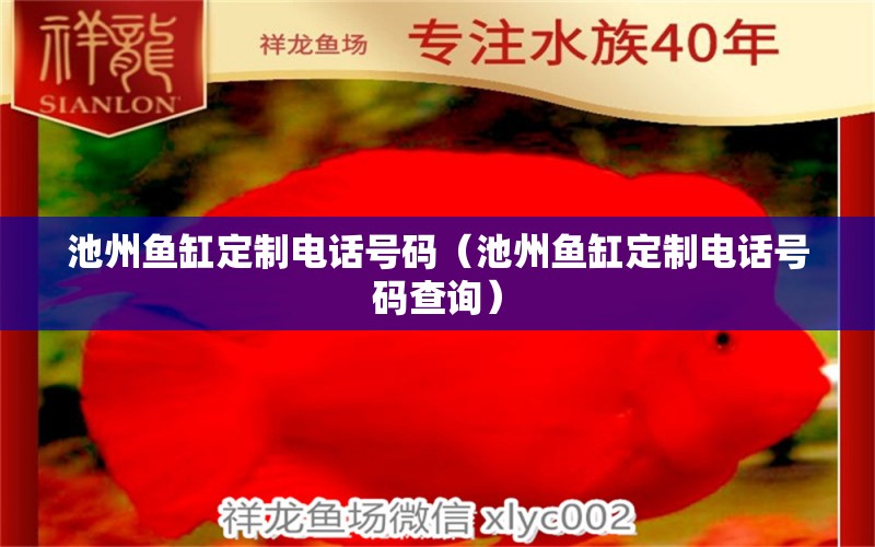 池州鱼缸定制电话号码（池州鱼缸定制电话号码查询）