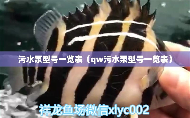 污水泵型号一览表（qw污水泵型号一览表）