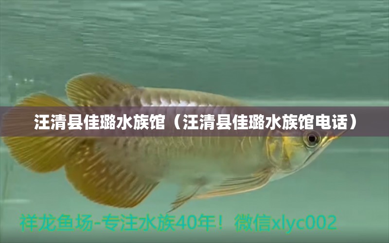 汪清县佳璐水族馆（汪清县佳璐水族馆电话）