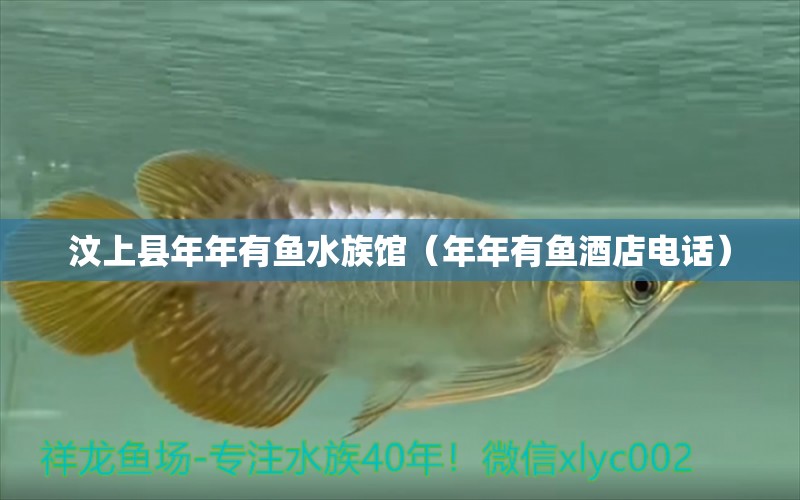 汶上县年年有鱼水族馆（年年有鱼酒店电话） 全国水族馆企业名录