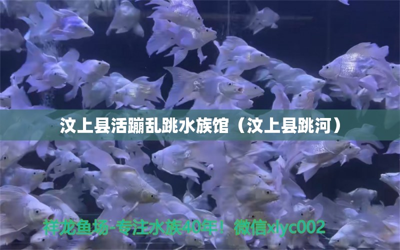 汶上县活蹦乱跳水族馆（汶上县跳河）