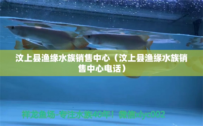 汶上县渔缘水族销售中心（汶上县渔缘水族销售中心电话） 全国水族馆企业名录