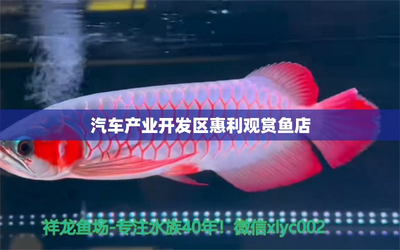 汽车产业开发区惠利观赏鱼店 全国水族馆企业名录 第1张