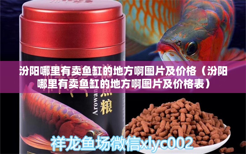 汾阳哪里有卖鱼缸的地方啊图片及价格（汾阳哪里有卖鱼缸的地方啊图片及价格表）