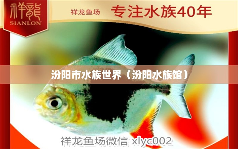 汾阳市水族世界（汾阳水族馆）