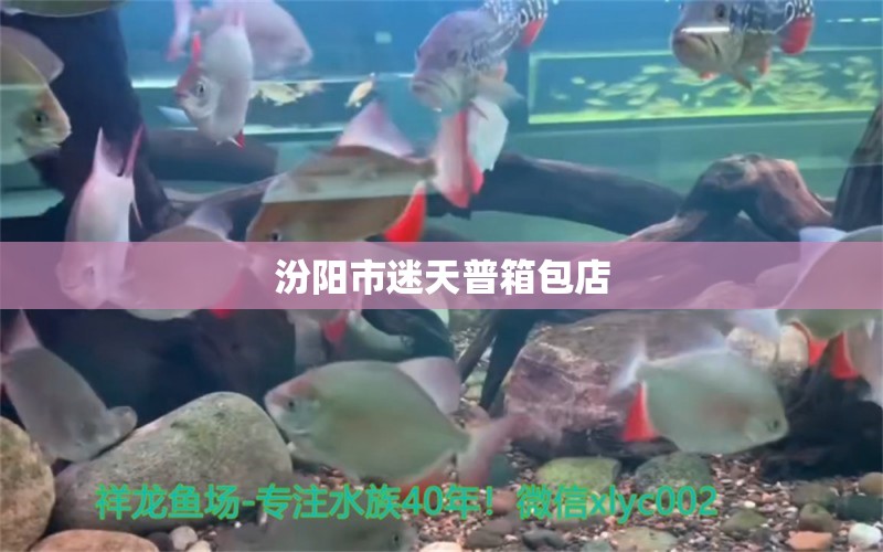 汾阳市迷天普箱包店 全国水族馆企业名录