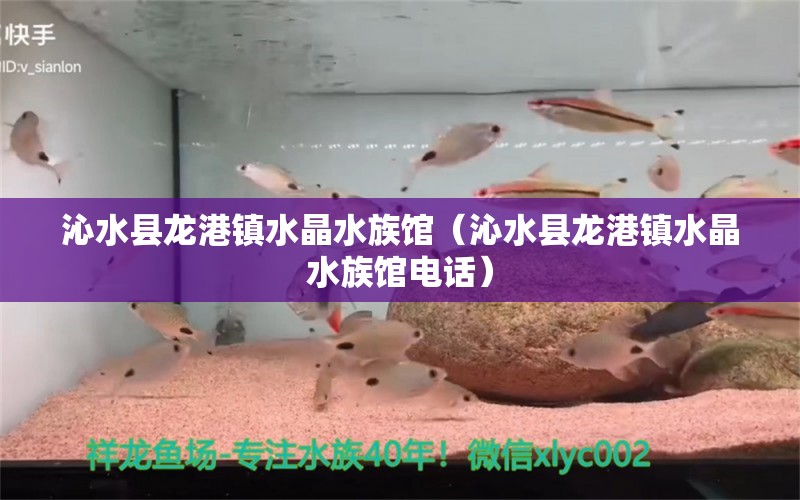 沁水县龙港镇水晶水族馆（沁水县龙港镇水晶水族馆电话） 全国水族馆企业名录