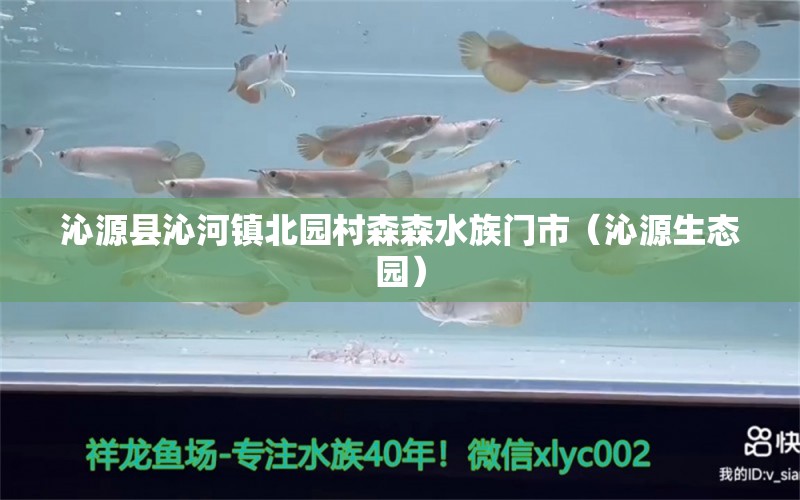 沁源县沁河镇北园村森森水族门市（沁源生态园） 全国水族馆企业名录