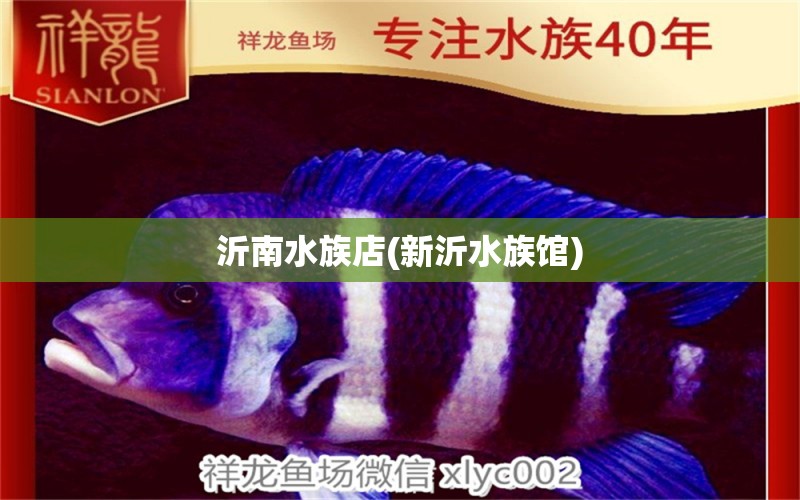 沂南水族店(新沂水族馆) 狗仔招财猫鱼 第1张