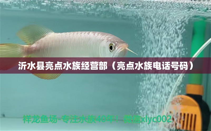 沂水县亮点水族经营部（亮点水族电话号码）