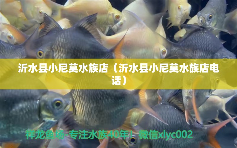 沂水县小尼莫水族店（沂水县小尼莫水族店电话）