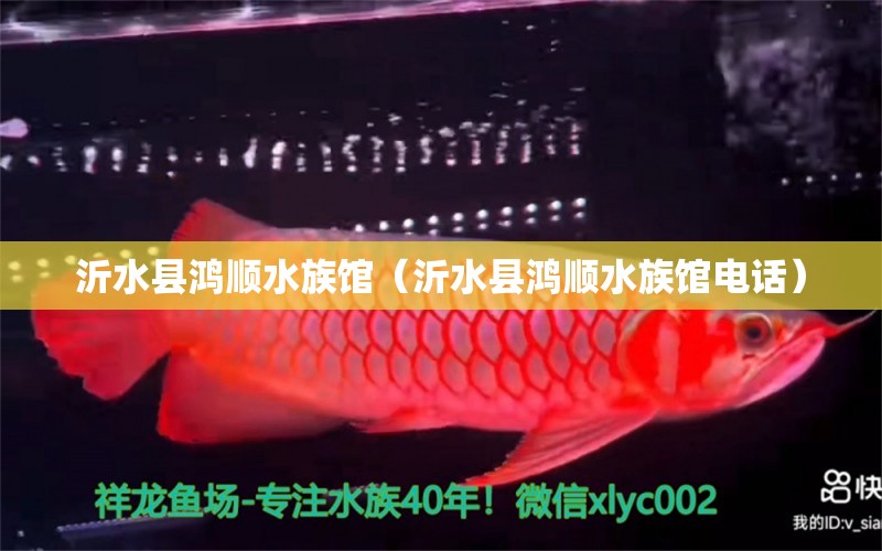 沂水县鸿顺水族馆（沂水县鸿顺水族馆电话） 全国水族馆企业名录