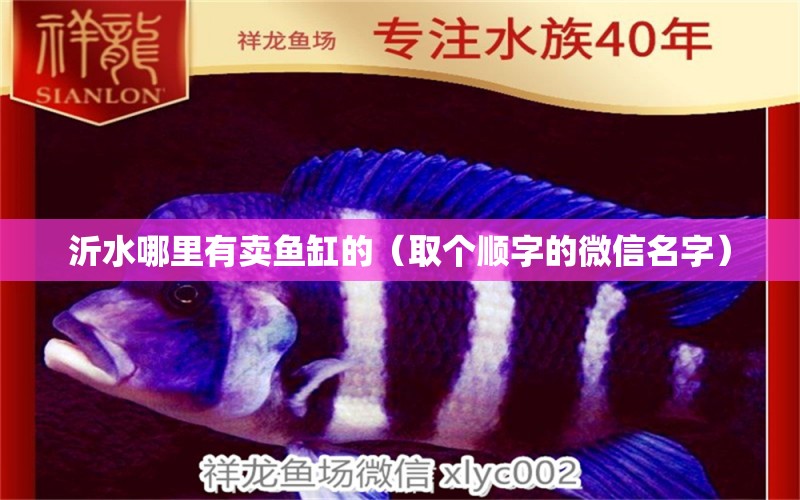 沂水哪里有卖鱼缸的（取个顺字的微信名字） 水族用品 第2张