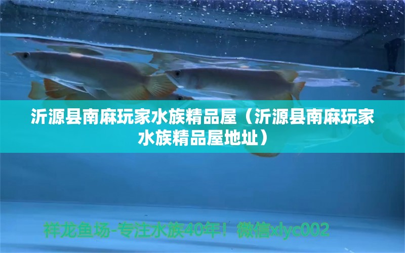 沂源县南麻玩家水族精品屋（沂源县南麻玩家水族精品屋地址）