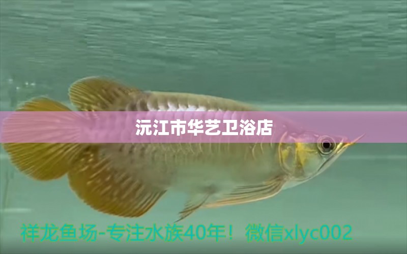 沅江市华艺卫浴店 全国水族馆企业名录