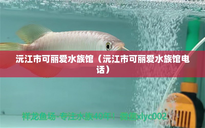 沅江市可丽爱水族馆（沅江市可丽爱水族馆电话） 全国水族馆企业名录