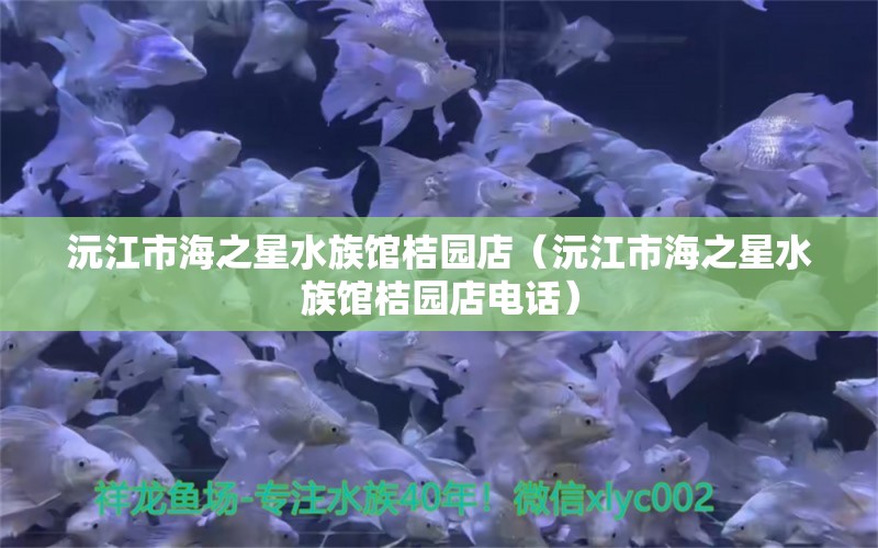 沅江市海之星水族馆桔园店（沅江市海之星水族馆桔园店电话）