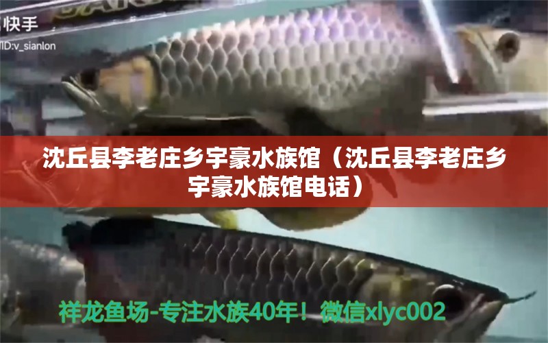 沈丘县李老庄乡宇豪水族馆（沈丘县李老庄乡宇豪水族馆电话）