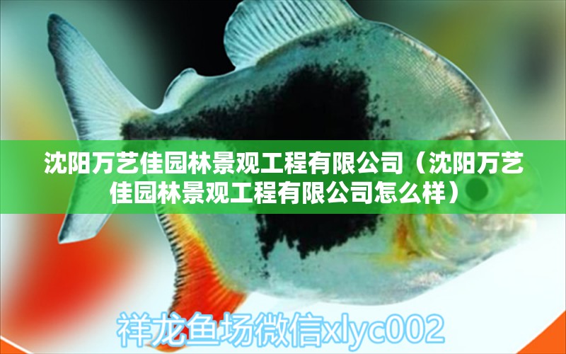 沈阳万艺佳园林景观工程有限公司（沈阳万艺佳园林景观工程有限公司怎么样）